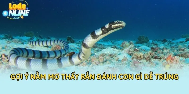 Gợi ý nằm mơ thấy rắn đánh con gì dễ trúng