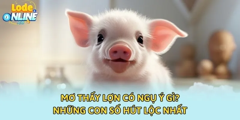 Mơ Thấy Lợn Có Ngụ Ý Gì? Những Con Số Hút Lộc Nhất